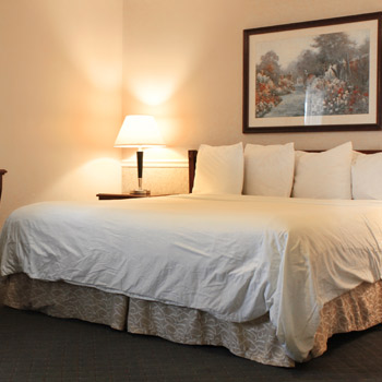 King Room Available Hotel Near Me In Rockford Alpine Inn