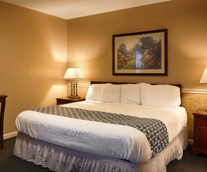 Alpine Inn Rooms And Amenities In Rockford Il